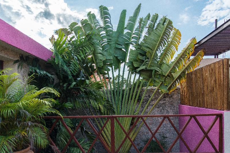 Art 57 Hotel - Adults Only Mérida Exterior foto